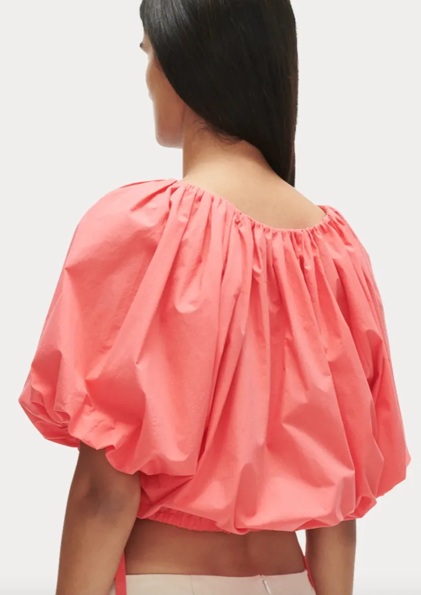 Shapley Top, Guava